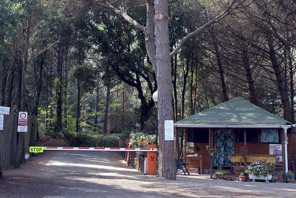 Villaggio Club Cecina Marina di Cecina Εξωτερικό φωτογραφία