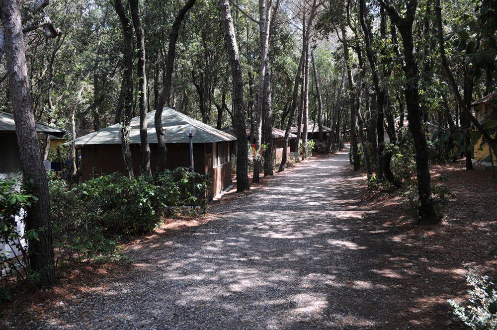 Villaggio Club Cecina Marina di Cecina Εξωτερικό φωτογραφία