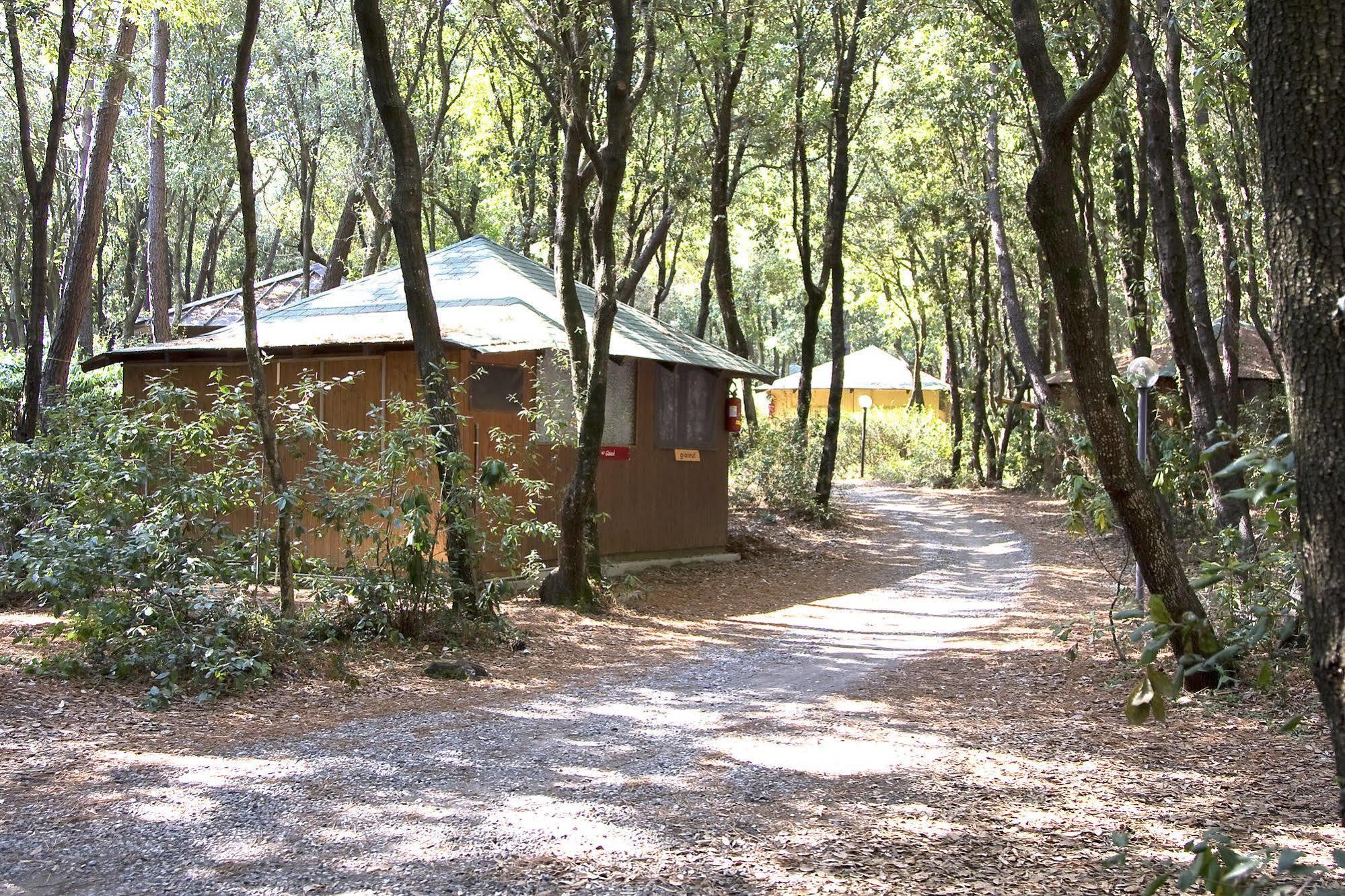 Villaggio Club Cecina Marina di Cecina Εξωτερικό φωτογραφία